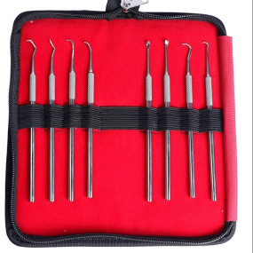 Alis 8 Pcs Dental Scaler Kit Dental Tools ASL888 Dental Probes for Oral Care Stainless Steel Kit Set of 8 Piece Scaler with Zipper Bag (8_Pcs_Dental_Scaler_Kit)