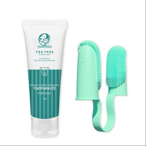 Foodie Puppies Dental Care Kit for Dogs and Cats - (Couple Toothbrush & Tea Tree Toothpaste, 100gm) | Tartar Control Enzymatic Toothpaste I Soft Bristle Toothbrush for Easy Dental Care of Small Pets