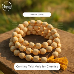 Virasit Certified Tulsi Mala 108 Beads Original for Japa Meditation and Prayer | Natural Holy Basil Japa Mala with Gomukhi for Mantra Chanting Puja and Spiritual Healing (Combo Pack)