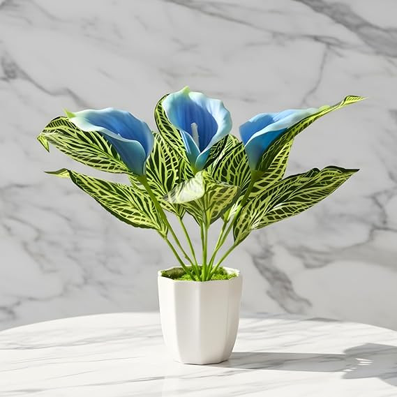 fancymart Artificial Calla Lily Plant with Pot – 30 cm Height Decorative Flower Leaves (Pack of 1) | Realistic Faux Plant for Home & Office Décor | Table, Shelf & Desk Decoration