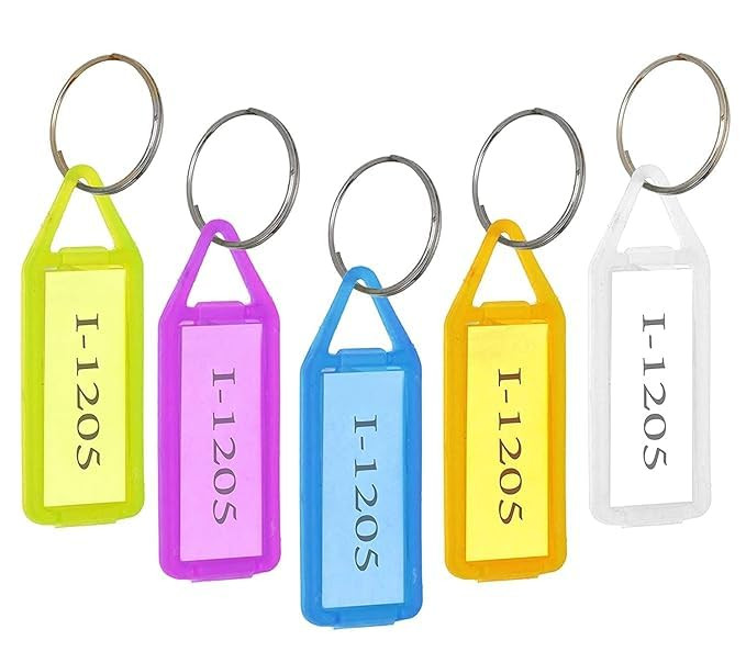 MARK Key Tag Multicolor Keyring & Keychain With Name Tag Labels Assorted Keychain With Two Side Id Label And Split Ring For Office, Home Key -Plastic