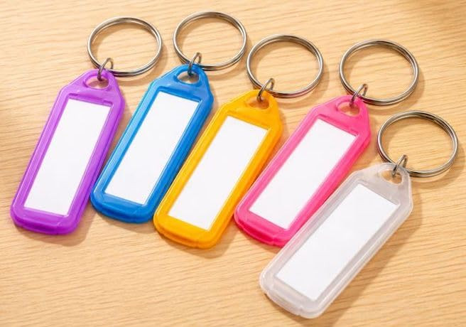 Multicolor Key Tag Keyring & Keychain Set | Plastic Keychains with Two-Side Name Tag Labels & Split Ring | Assorted Colours for Office, Home & Key Organisation - 5 Pcs