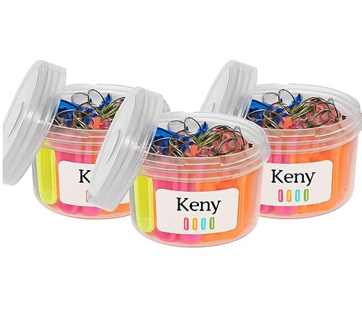 Keny Multicolour Keyrings & Keychain Tags with Writable Name Label | Plastic ID Tags for Office, Home, School, Luggage, Keys – Durable & Reusable (150, Bowl - Pack of 150)