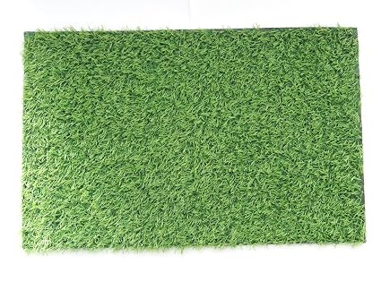 Life Synthetic Grass Door Mats for Home Entrance, Perfect Entryway for Bathroom, Main Door, Kitchen, Balcony - 54.5 cm x 35cm (Set of 1)
