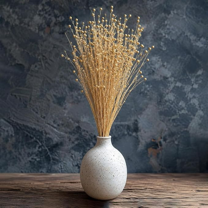 Dried Natural Lino Flower | Dried Flower for Elegant Floral Styling | Preserved Flower for Decoration, Vase Arrangement, Table Top Accent, Home Decor Display, Living Space Styling