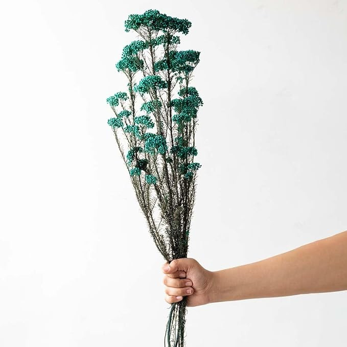Preserved Rice Flower - Blue | Natural Dried Flower for Premium Floral Arrangement | Preserved Bloom for Vase Filling, Home Decoration, Table Top Centerpiece