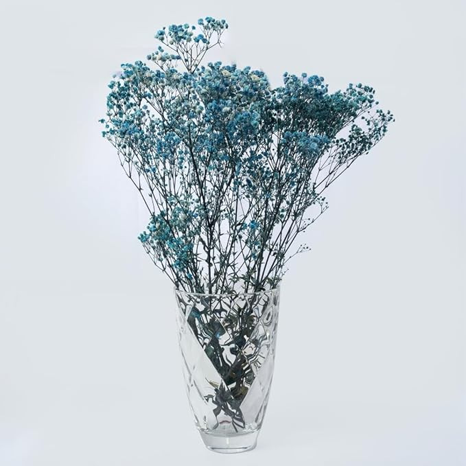 TA Preserved Baby's Breath Flowers|50 gm | Natural Dried Blooms | Long-Lasting Real Flowers for DIY, Home Decor & Gifting | Eco-Friendly(Blue)