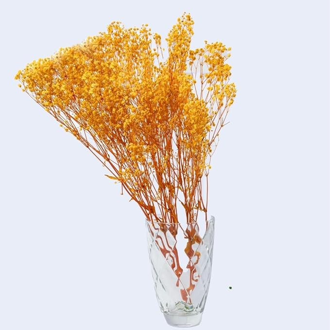 TA Preserved Baby's Breath Flowers|50 gm | Natural Dried Blooms | Long-Lasting Real Flowers for DIY, Home Decor & Gifting | Eco-Friendly(Yellow)
