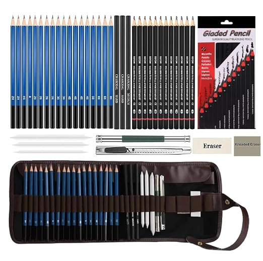 TA 41 Pcs Professional Drawing Supplies Sketching Art Kit Pencil Set With Tools Pouch Complete Artist Charcoal Sketch Pencils Shade Shading Portrait Gifts Accessories