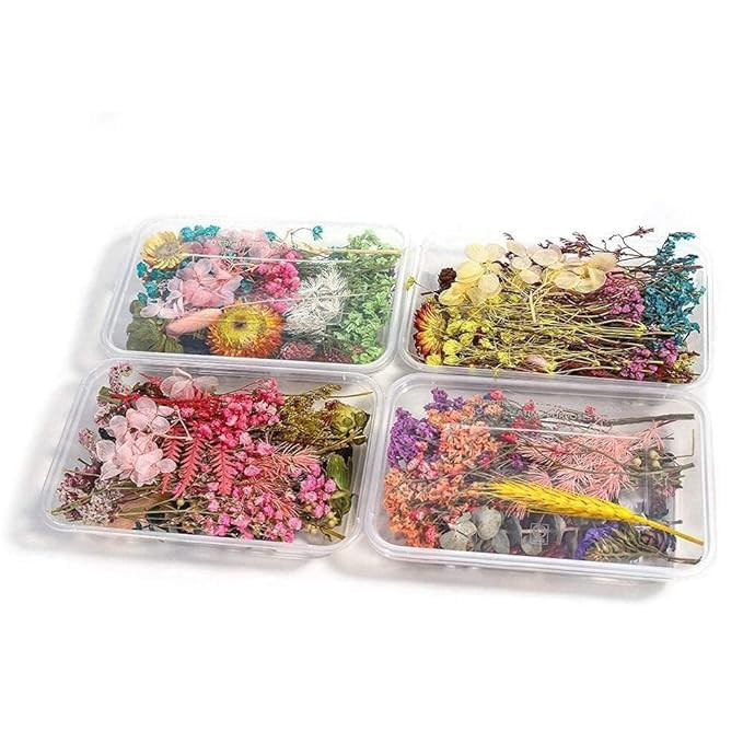 TA Natural Real Dried Flowers for Art Craft Mixed Soap, Candle, Scrapbook, DIY, Resin Tray Jewellery, Pendant- [Random Box, Multicolour] (1 Box)