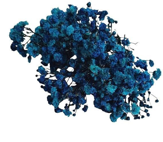 TA Preserved Baby's Breath Flowers, Natural Blue Dried Gypsophila Bouquet, Turquoise and Navy, Decorative Floral Arrangement