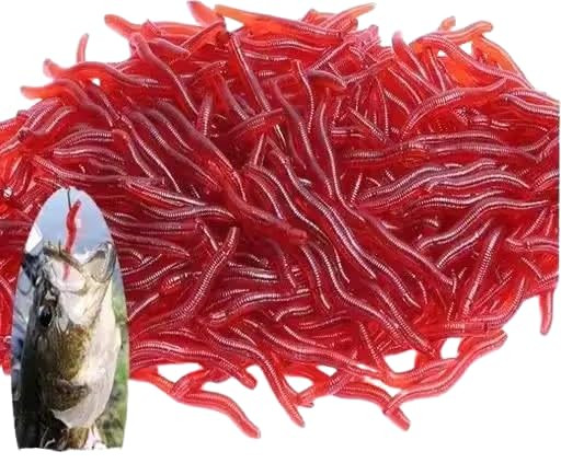 Fishing Lures 100 PCS Set | Assorted Artificial Fishing Baits for Freshwater & Saltwater Fishing | Soft Plastic Lures Kit for Bass, Snakehead, Murrel & Predator Fish | Fishing Tackle Accessories