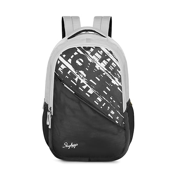 Skybags Fuse Plus 22 Liters Backpack with 17 Inch Laptop Compartment for Men & Women, Side Bottole Pocket, Organiser with Key Chain Holder, Padded Back & Shoulder Strap (Grey)