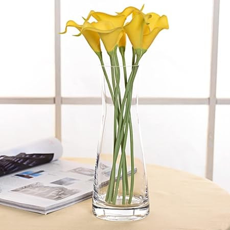 TA Decorative Glass Vase for Flowers Plants Home Decor Office Living Table Decorations, Vases for Home Decor, ClearGlass Vase,Modern - (Transparent 9 Inches)
