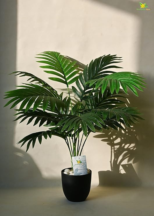 TA Artificial Areca Palm for Home Decor/Office Decor/Gifting | 58.4 cm Short Ornamental Plant | 12 Leaves | with Basic Black Pot | Natural Looking Indoor Plant Plastic